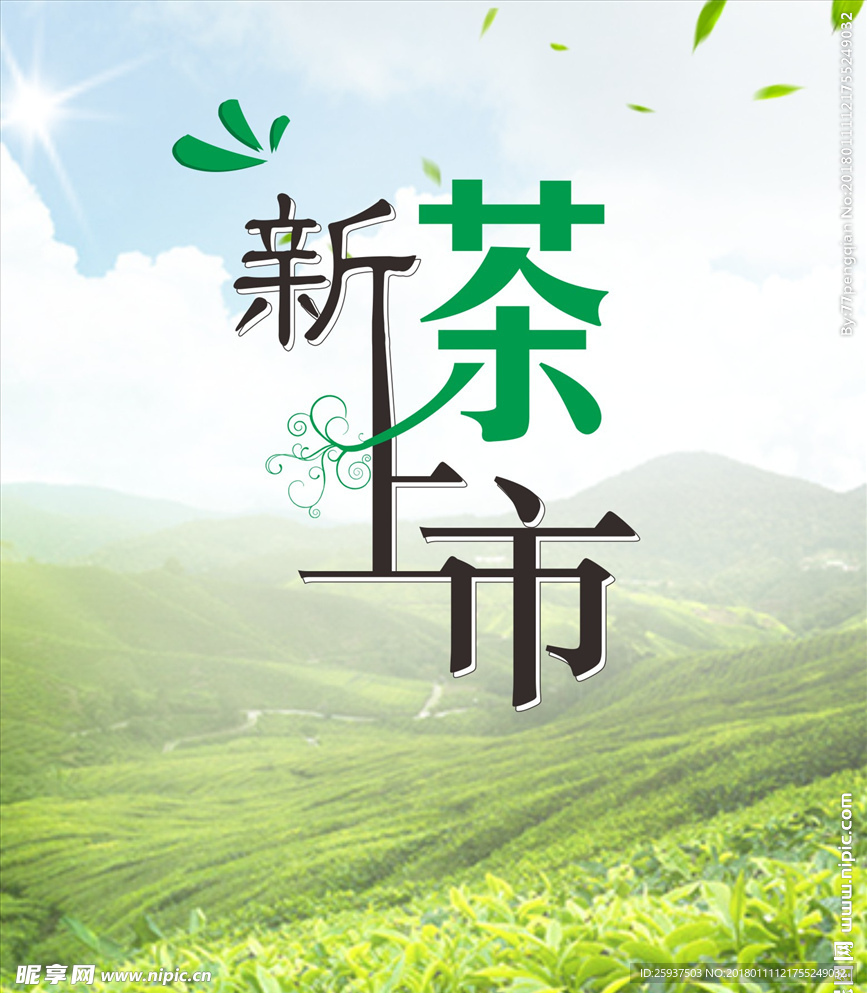 新茶上市
