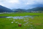 香格里拉