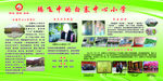 绿色背景  校园文化