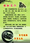 貔貅简介