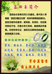 蓝田玉