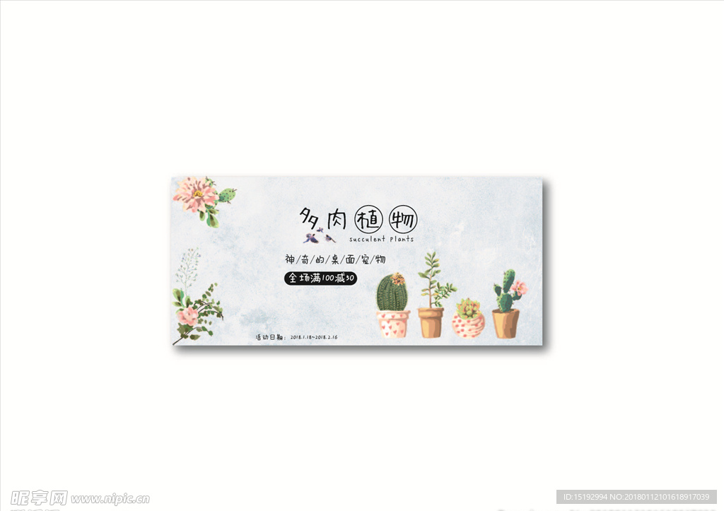 多肉植物banner