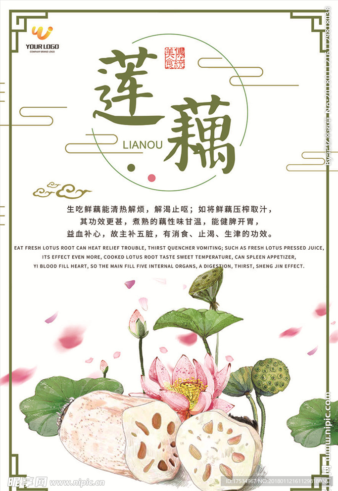 荷花莲藕手绘
