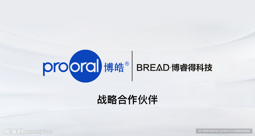 战略合作伙伴