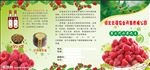 三折页