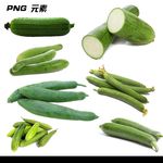 丝瓜免扣元素