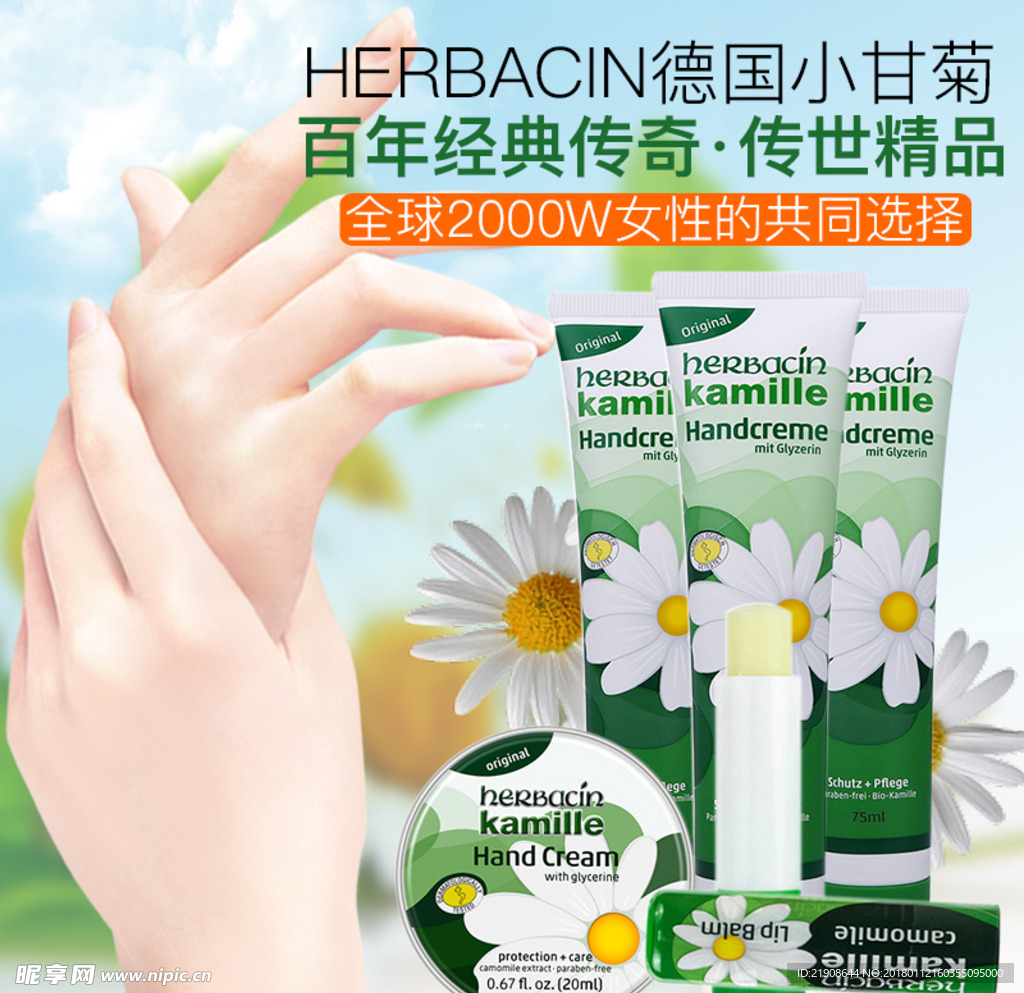 贺本清 小甘菊