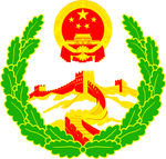 社会综治徽章