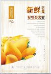 芒果促销 宣传海报