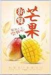 芒果促销 宣传海报