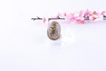 陈万福 琥珀