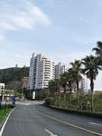 城市风光