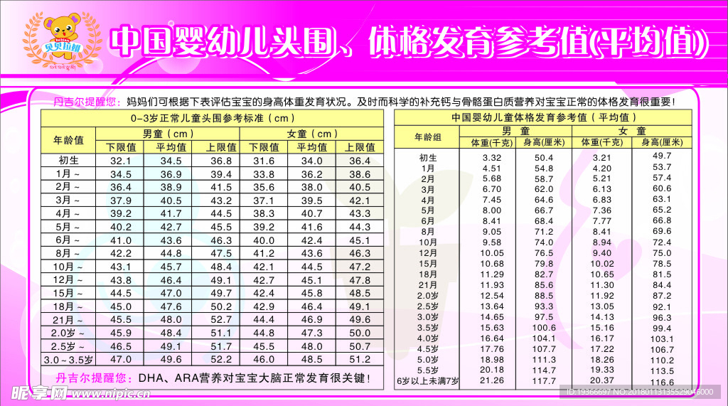 贝贝拉姆 展板 儿童头围 体格