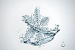 雪冰