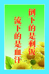 饮食文化