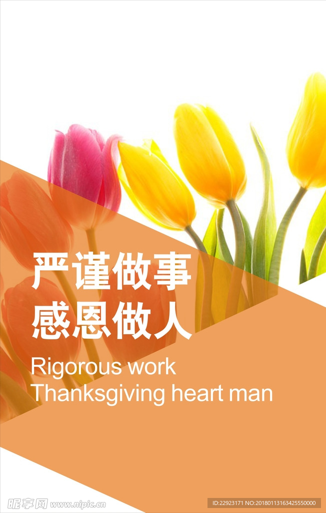 企业文化