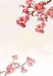 桃花海报背景设计素材