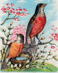 复古鸟类装饰画图片