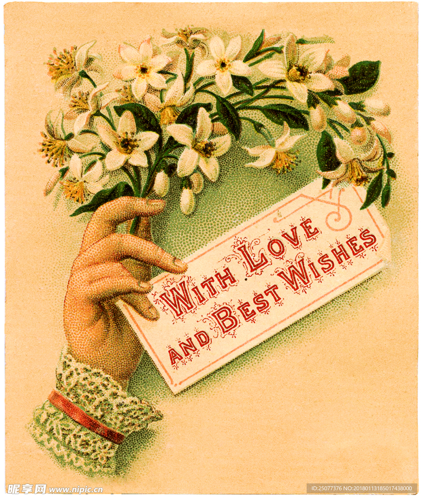 复古手绘花卉装饰画图片