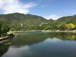 湖岸