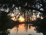 夕阳