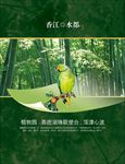 竹子 中国风 房地产楼盘海报