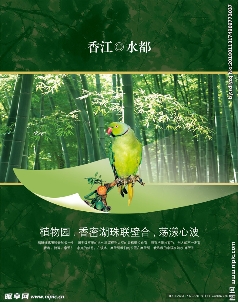 竹子 中国风 房地产楼盘海报