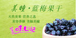 果仁蓝梅