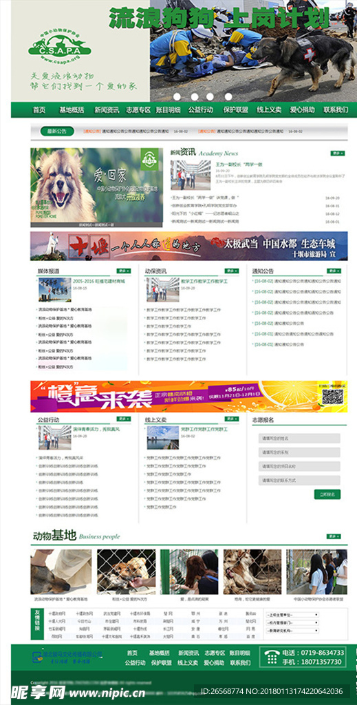 流浪动物爱心公益网站模板