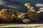 乌兰布统美景 内蒙古美景 木兰