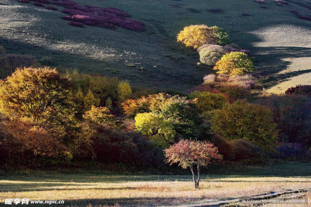 乌兰布统美景 内蒙古美景 木兰