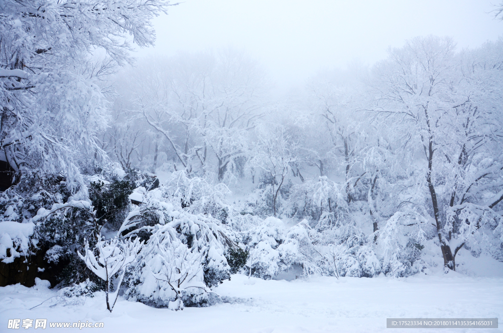 冰雪世界