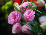 鲜花