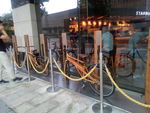 美陈展示