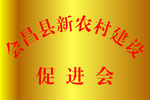 钛金牌