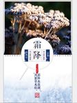 二十四节气至霜降海报
