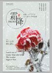 二十四节气至霜降海报