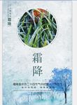 二十四节气至霜降海报
