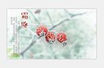 二十四节气至霜降海报