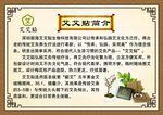 艾灸 艾艾贴 简介