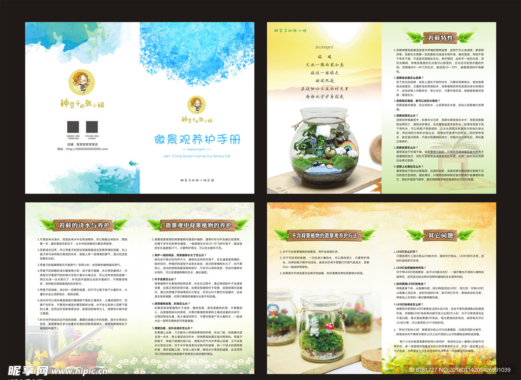 微景观植物养护手册