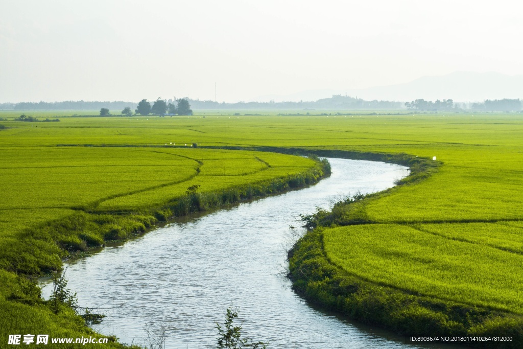 草坪河流