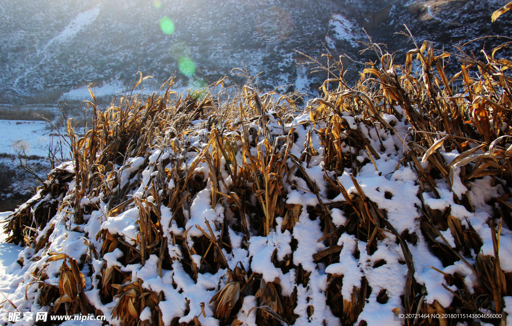 乡村雪景