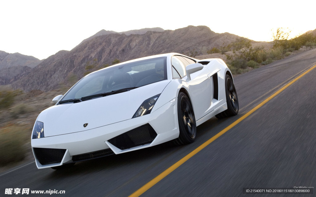 兰博基尼 Gallardo