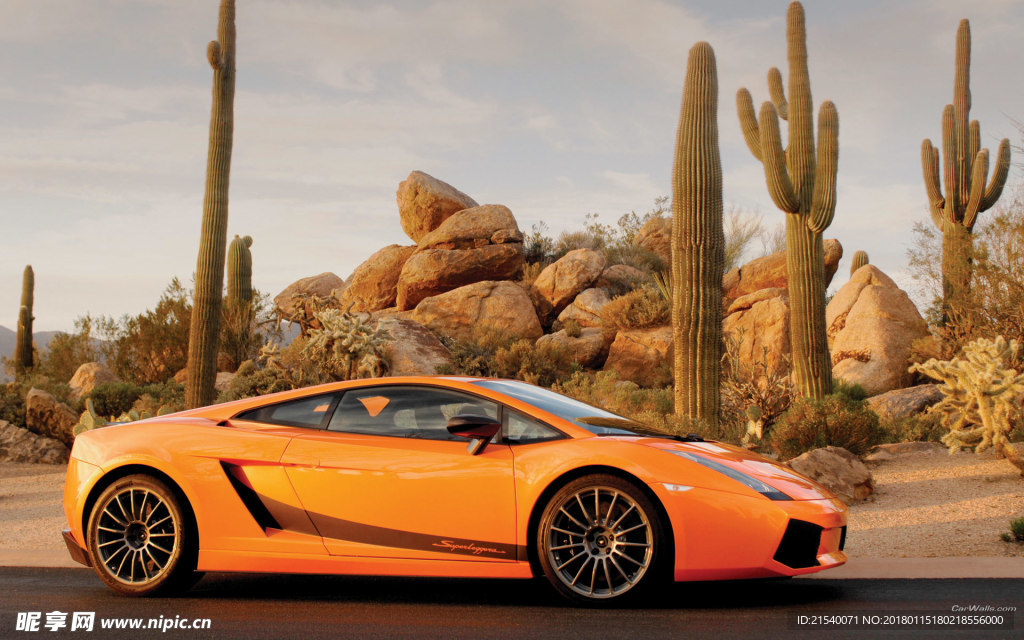 兰博基尼 Gallardo