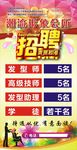 理发店潮流形象会所招聘