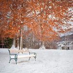 冬日雪景