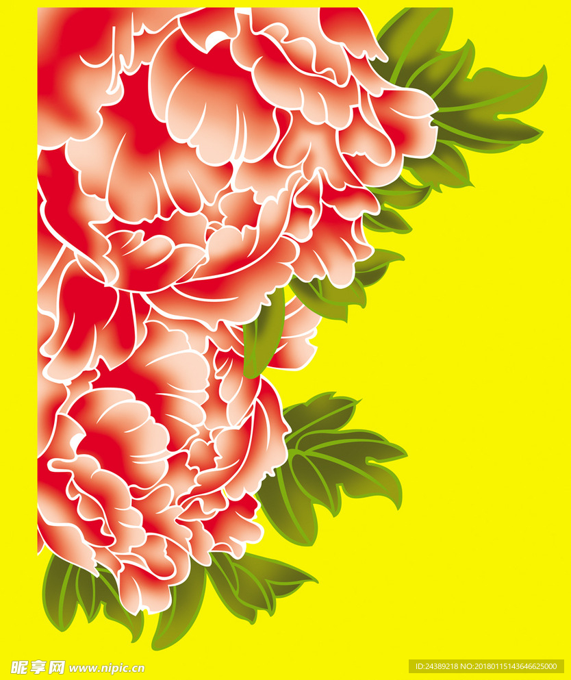牡丹花