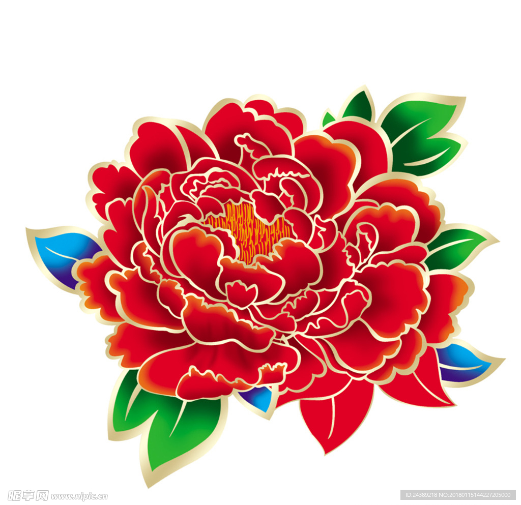 牡丹花