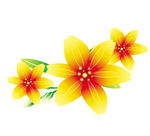 小花